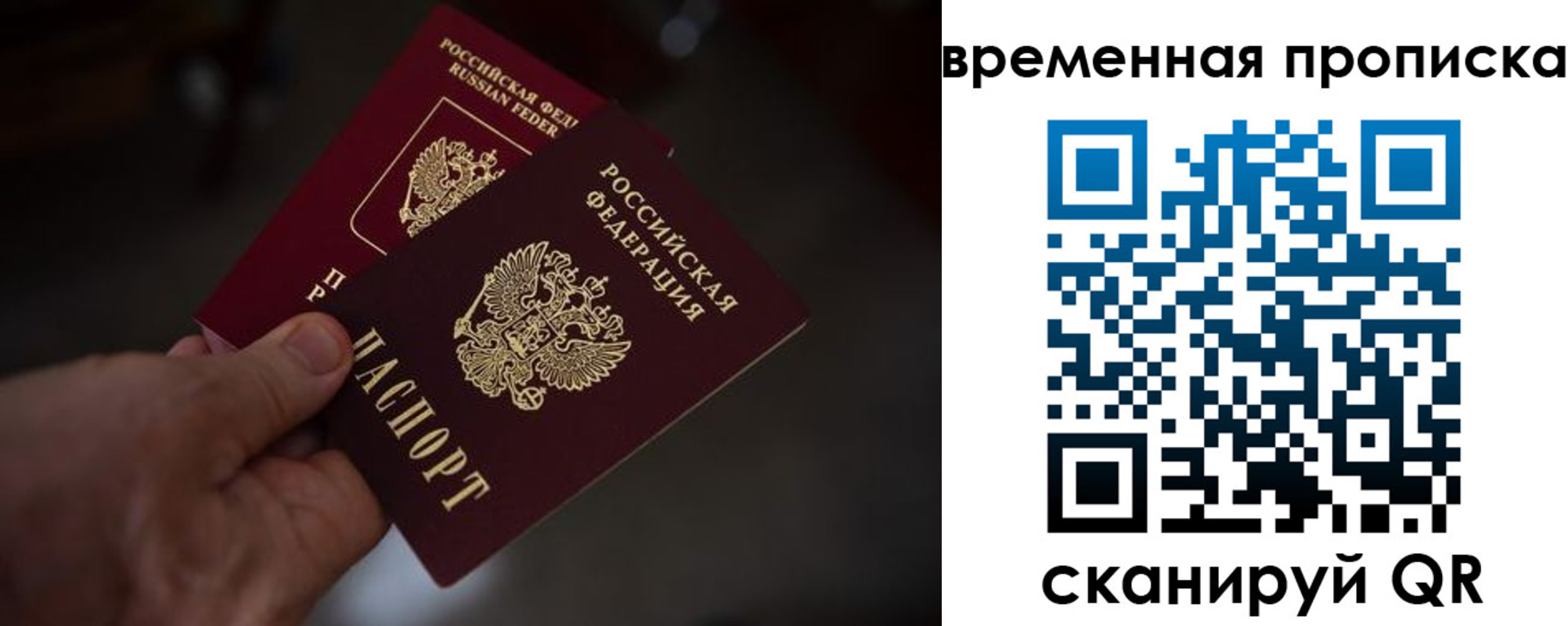 прописка в Донском